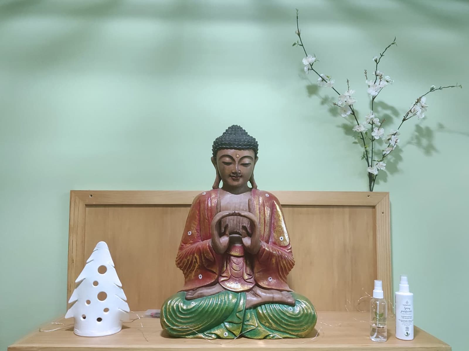 Actividades de la Escuela de Consciencia Ikigai